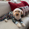 The Eddie Two Piece Set - Daywear for Pups in Parkas
